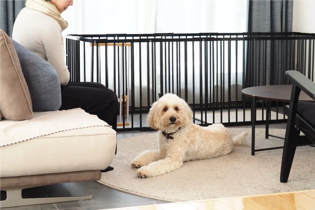 愛犬と過ごす様子