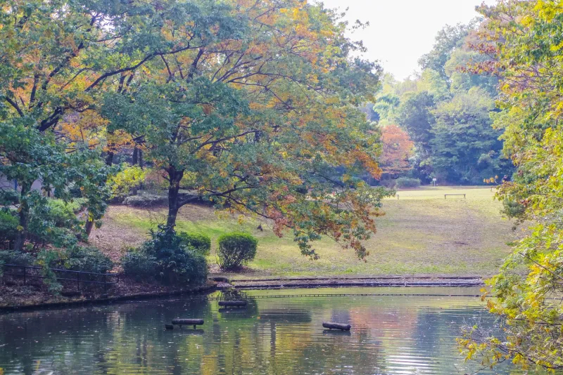 茅ヶ崎にある公園 茅ヶ崎公園