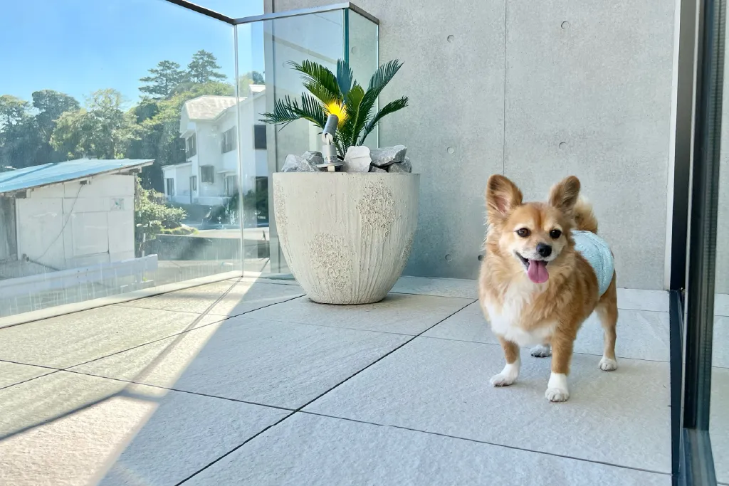 真鶴 A棟 愛犬と過ごせる別荘