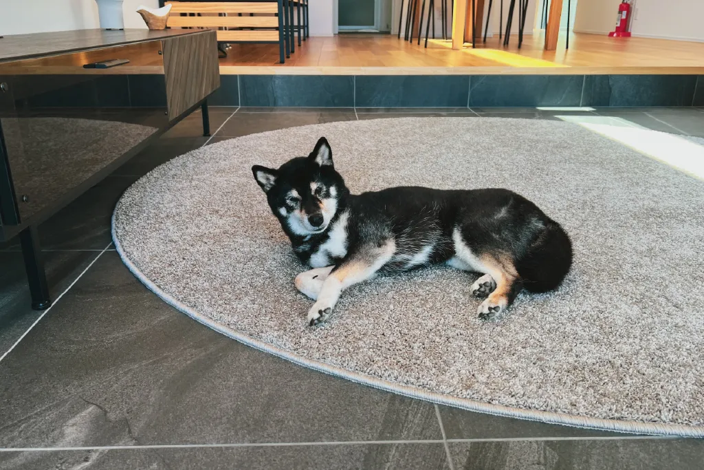 WITH SEA 一宮NORTH 愛犬と過ごせる別荘