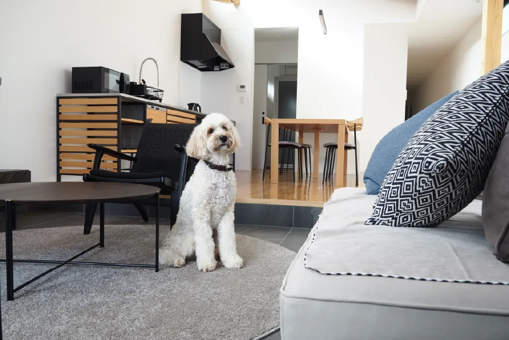 WITH SEA 一宮NORTH 愛犬と過ごせる別荘