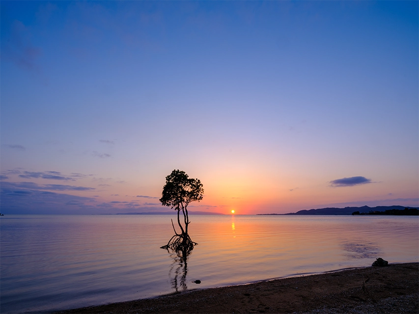 WITH SEA 石垣島での過ごし方 夕陽に染まる海を眺める